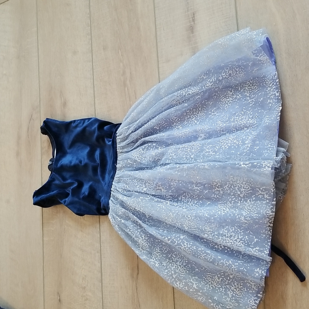 Girl's fancy dress